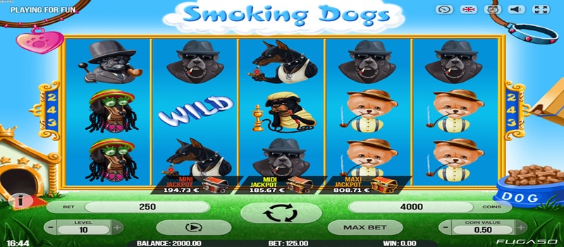 cani che fumano jackpot